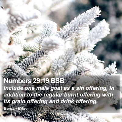 Numbers 29:19 BSB Bible Verse Image