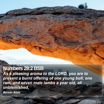 Numbers 29:2 BSB Bible Verse Image