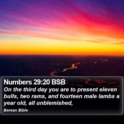 Numbers 29:20 BSB Bible Verse Image