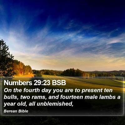 Numbers 29:23 BSB Bible Verse Image