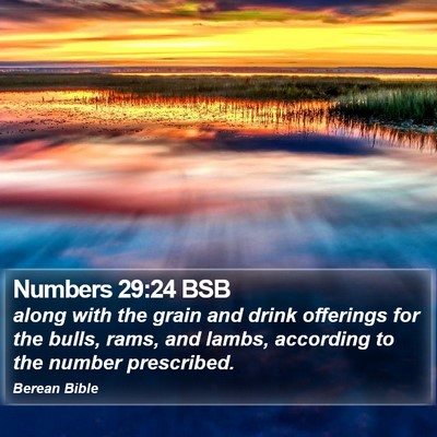 Numbers 29:24 BSB Bible Verse Image