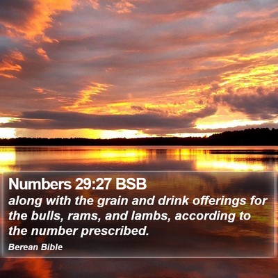 Numbers 29:27 BSB Bible Verse Image