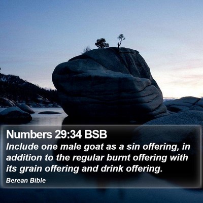 Numbers 29:34 BSB Bible Verse Image
