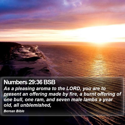 Numbers 29:36 BSB Bible Verse Image