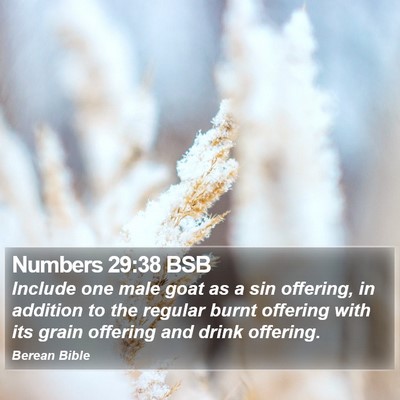 Numbers 29:38 BSB Bible Verse Image