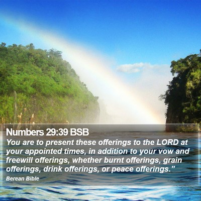 Numbers 29:39 BSB Bible Verse Image