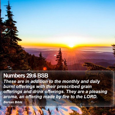 Numbers 29:6 BSB Bible Verse Image