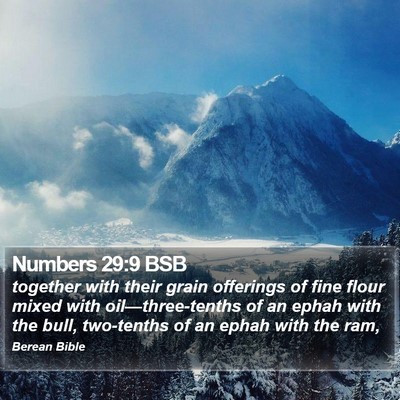 Numbers 29:9 BSB Bible Verse Image