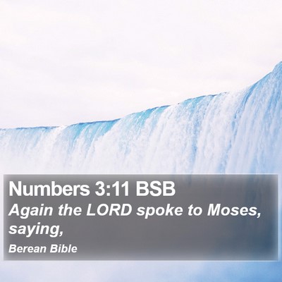 Numbers 3:11 BSB Bible Verse Image