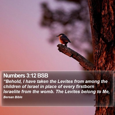 Numbers 3:12 BSB Bible Verse Image