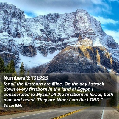 Numbers 3:13 BSB Bible Verse Image