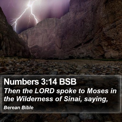 Numbers 3:14 BSB Bible Verse Image