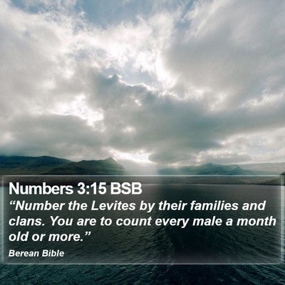 Numbers 3:15 BSB Bible Verse Image