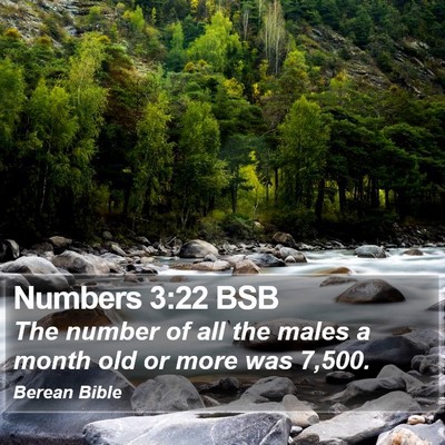 Numbers 3:22 BSB Bible Verse Image