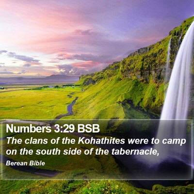 Numbers 3:29 BSB Bible Verse Image