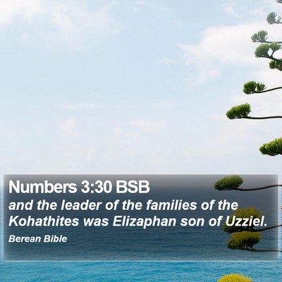 Numbers 3:30 BSB Bible Verse Image