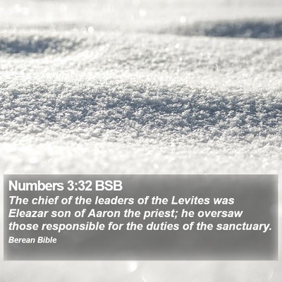 Numbers 3:32 BSB Bible Verse Image