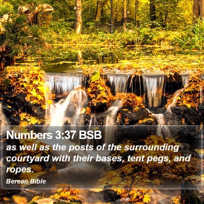 Numbers 3:37 BSB Bible Verse Image