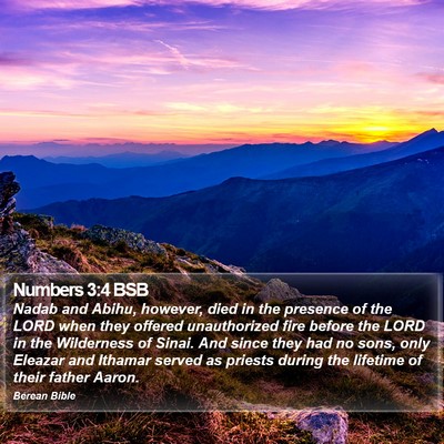 Numbers 3:4 BSB Bible Verse Image