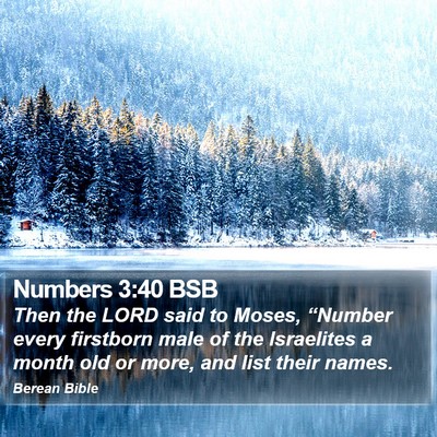 Numbers 3:40 BSB Bible Verse Image