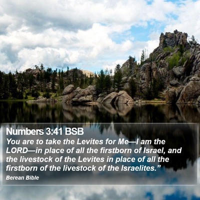 Numbers 3:41 BSB Bible Verse Image