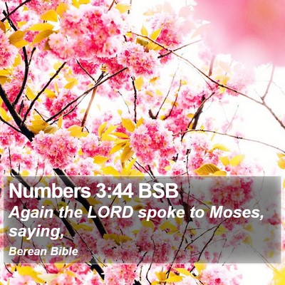 Numbers 3:44 BSB Bible Verse Image
