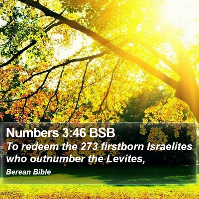 Numbers 3:46 BSB Bible Verse Image