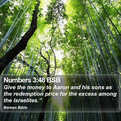 Numbers 3:48 BSB Bible Verse Image