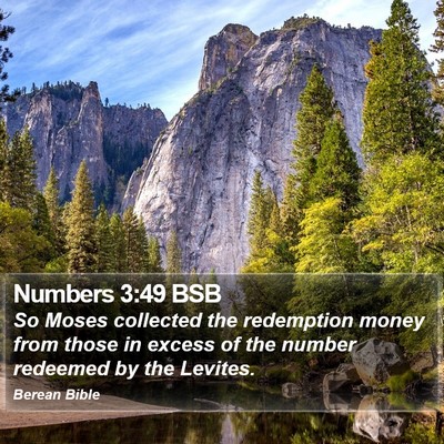 Numbers 3:49 BSB Bible Verse Image