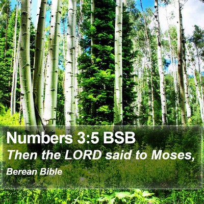 Numbers 3:5 BSB Bible Verse Image