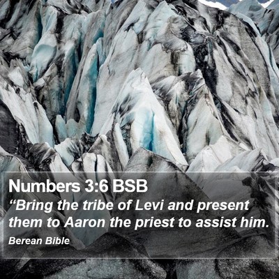 Numbers 3:6 BSB Bible Verse Image