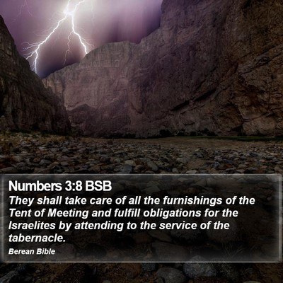 Numbers 3:8 BSB Bible Verse Image