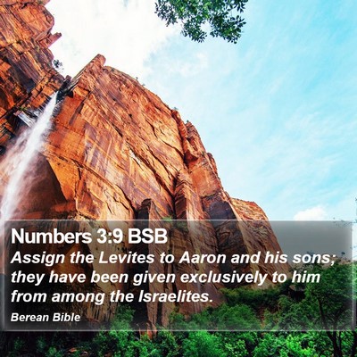 Numbers 3:9 BSB Bible Verse Image