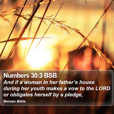 Numbers 30:3 BSB Bible Verse Image