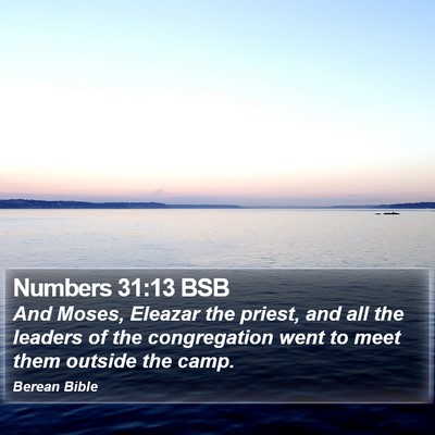 Numbers 31:13 BSB Bible Verse Image