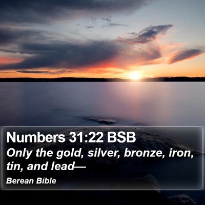 Numbers 31:22 BSB Bible Verse Image
