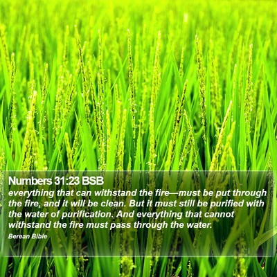Numbers 31:23 BSB Bible Verse Image