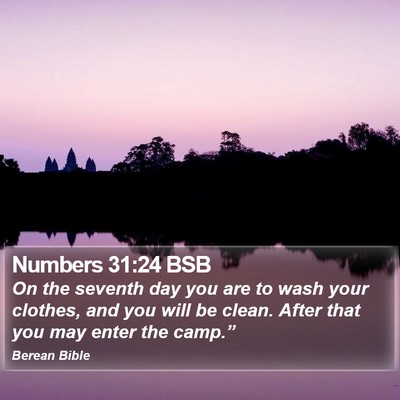 Numbers 31:24 BSB Bible Verse Image