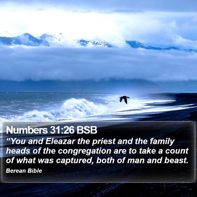 Numbers 31:26 BSB Bible Verse Image
