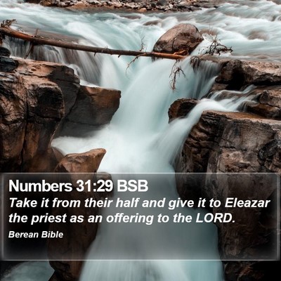 Numbers 31:29 BSB Bible Verse Image
