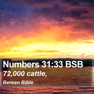 Numbers 31:33 BSB Bible Verse Image