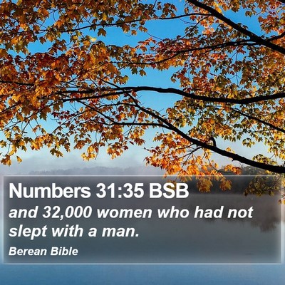 Numbers 31:35 BSB Bible Verse Image
