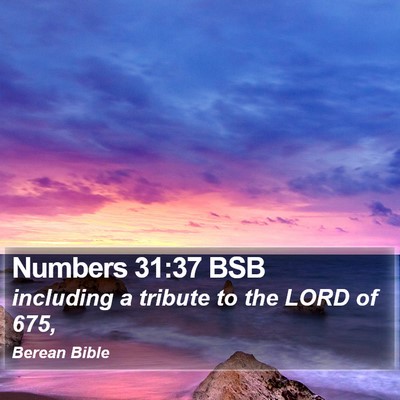 Numbers 31:37 BSB Bible Verse Image
