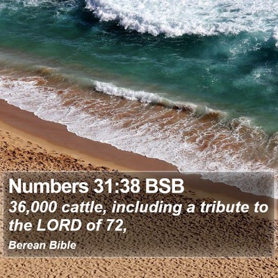 Numbers 31:38 BSB Bible Verse Image
