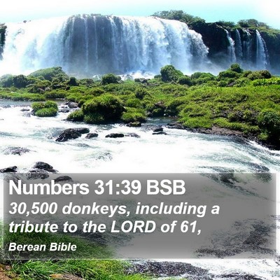 Numbers 31:39 BSB Bible Verse Image