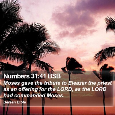 Numbers 31:41 BSB Bible Verse Image