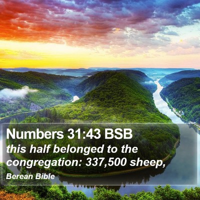 Numbers 31:43 BSB Bible Verse Image