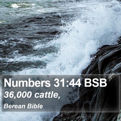 Numbers 31:44 BSB Bible Verse Image