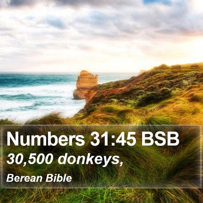 Numbers 31:45 BSB Bible Verse Image