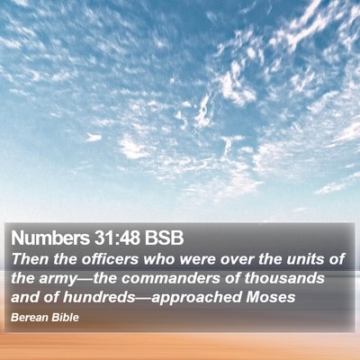 Numbers 31:48 BSB Bible Verse Image